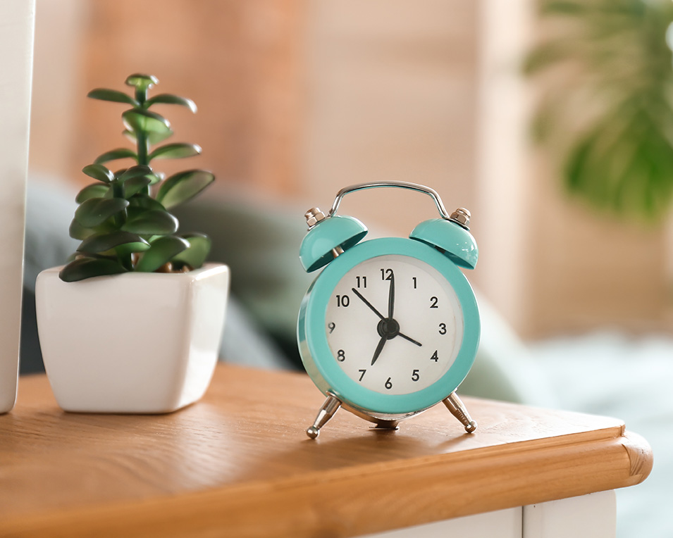 Clock and succulent on a table for therapy with Christina Rush, PhD in Greensboro, NC