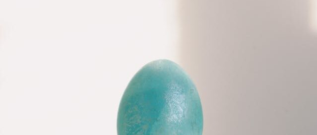 one beautiful teal egg in a space